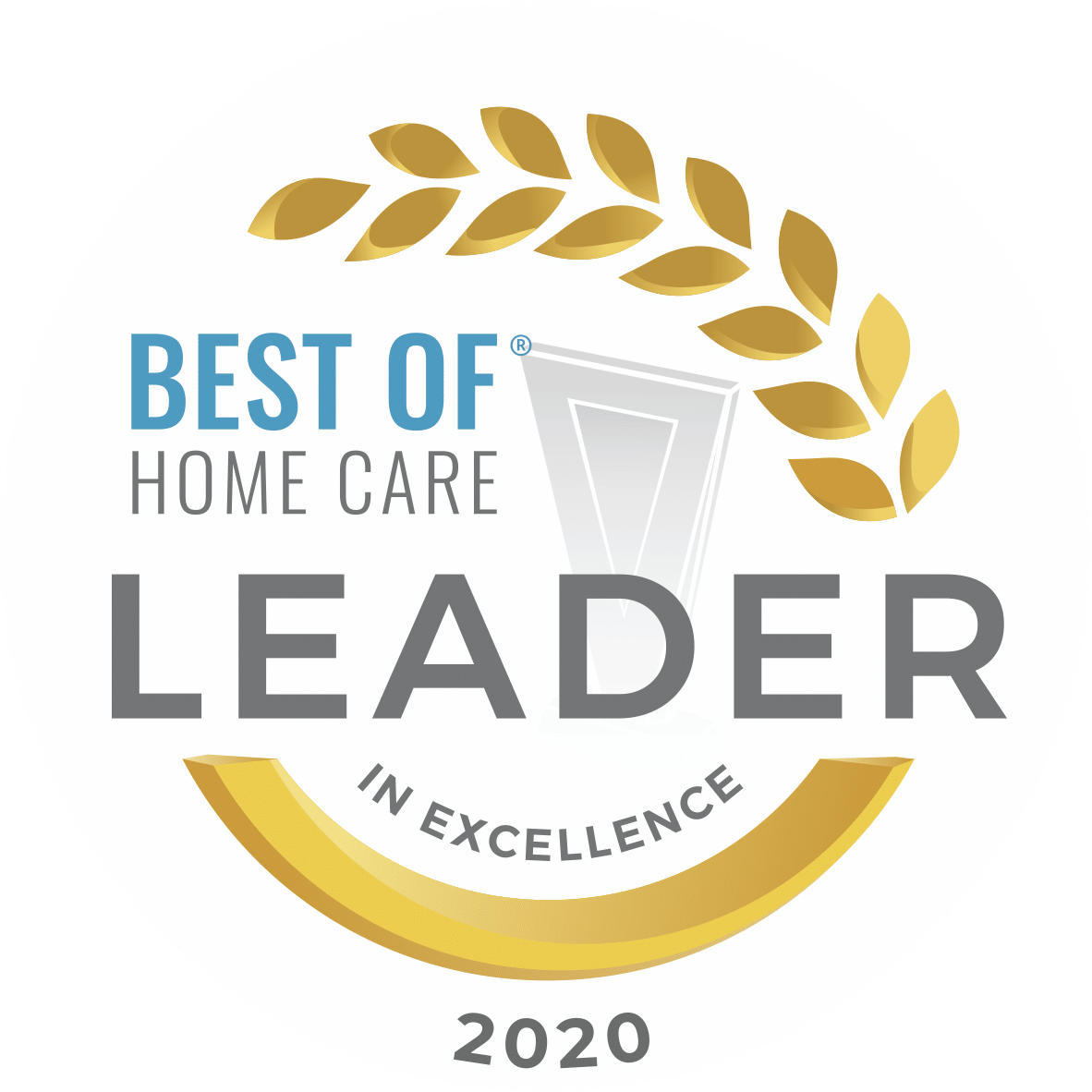 Best of Home Care Leader in Excellence 2020 award
