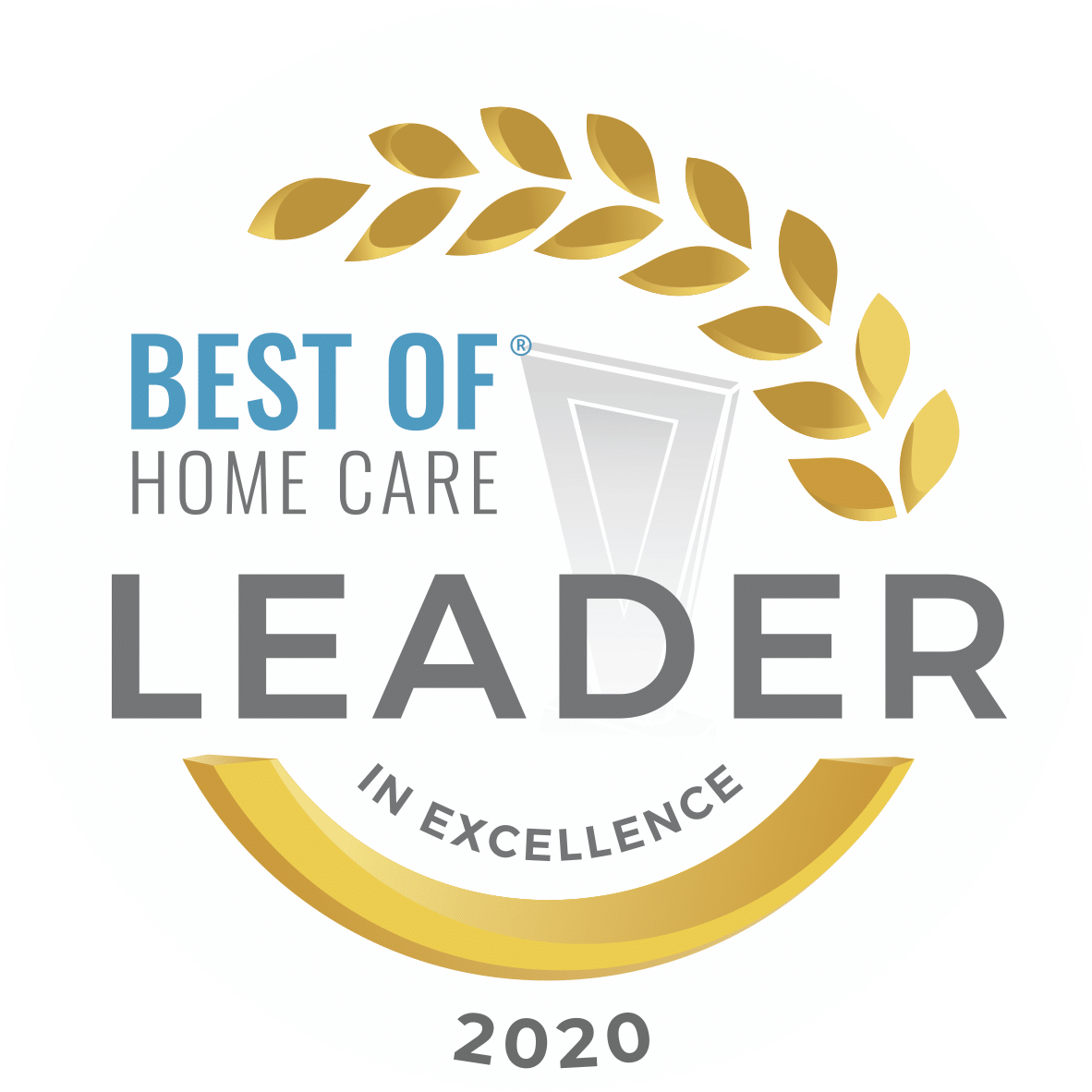 2020-Leader-in-Excellence Best of Home Care Leader in Excellence 2020 award