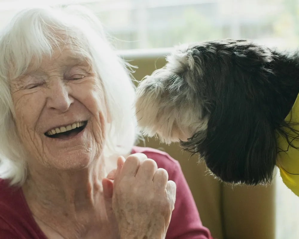 Happy senior woman with pet dog at home